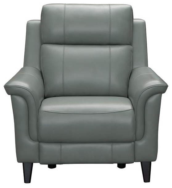 9PH 3716 Kester Power Recliner  Mint   Contemporary   Recliner Chairs   by BisonOffice  Houzz