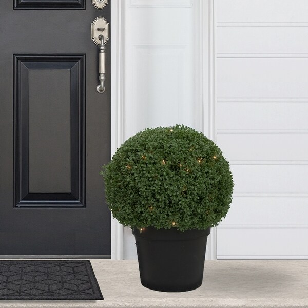 20 PreLit Artificial Boxwood Ball Topiary in Round Pot，Clear Lights