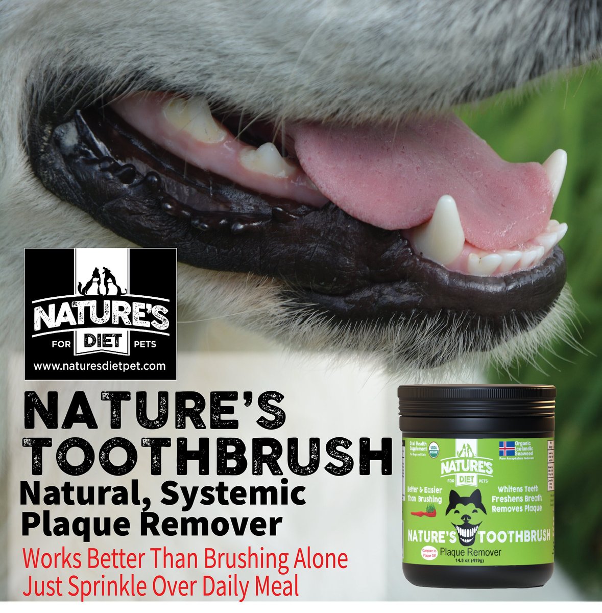 Nature's Diet Toothbrush Systemic Plaque Remover Dry Dog Food Topping， 14.8-oz jar