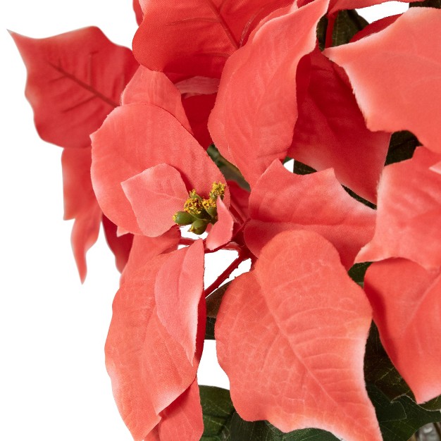 Dark Pink Artificial Christmas Poinsettia With Gold Wrapped Base