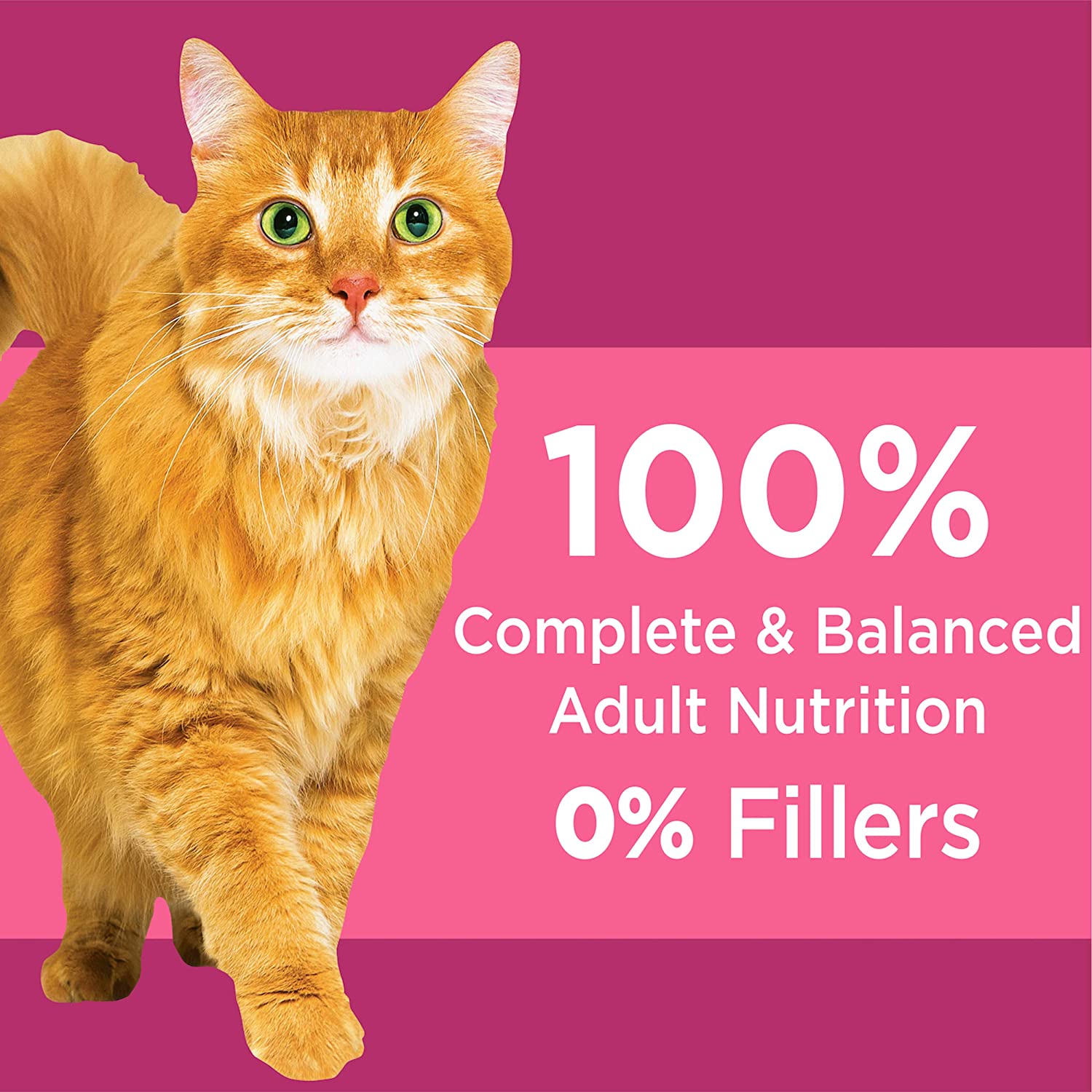 Iams Proactive Health Adult Urinary Tract Health Dry Cat Food 16LB