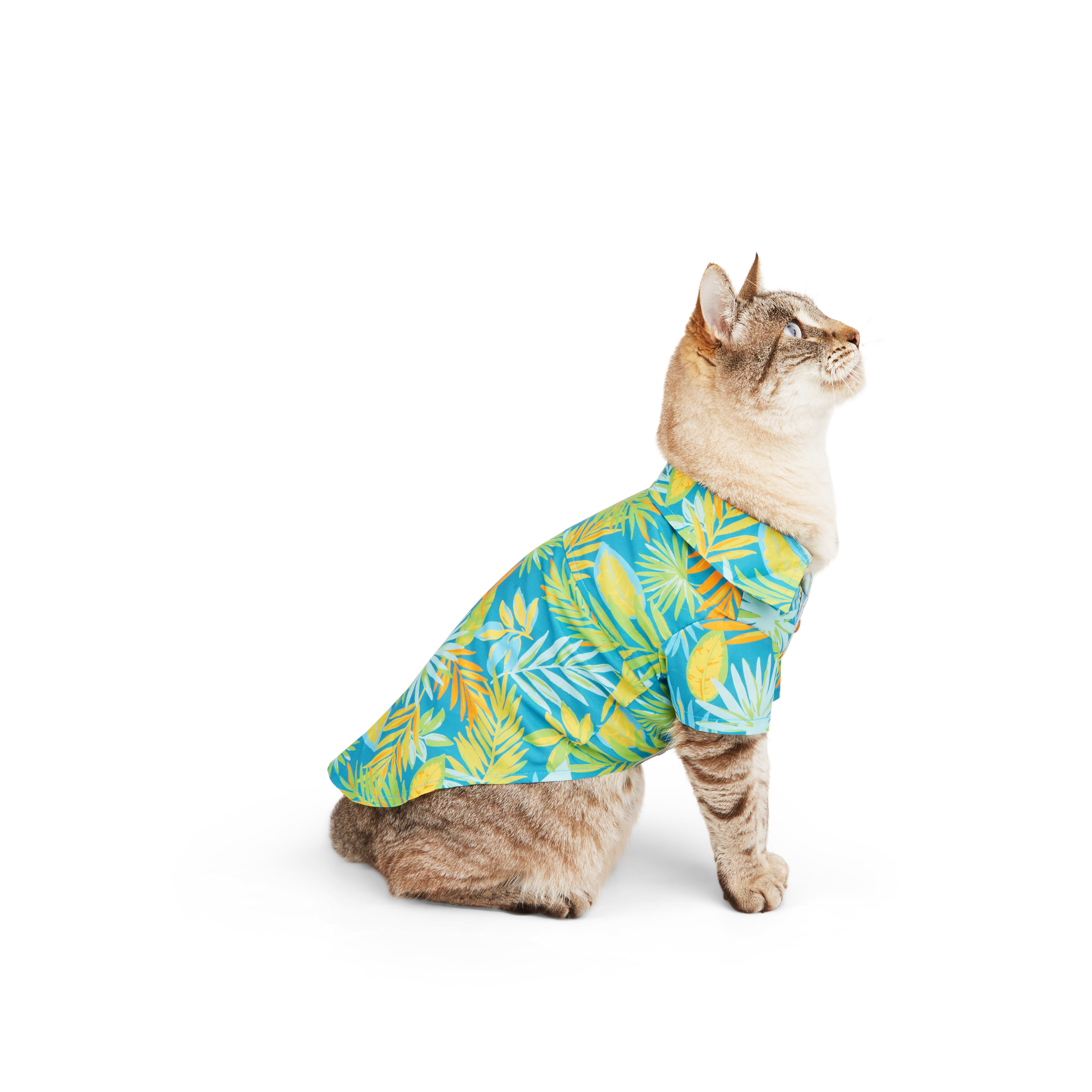 YOULY Cat Tropic Palm Shirt， Small/Medium