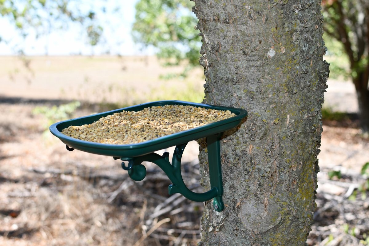 My Favorite Chicken Urban Garden Seed Tray Table Mountable Bird Feeder， Green