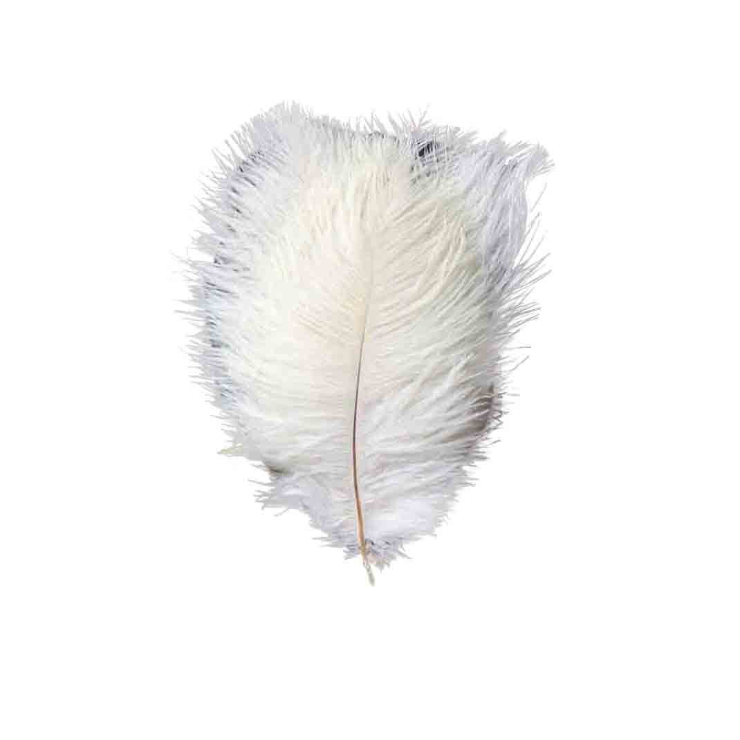 12 Pack White Natural Plume Real Ostrich Feathers, DIY Centerpiece Fillers 13