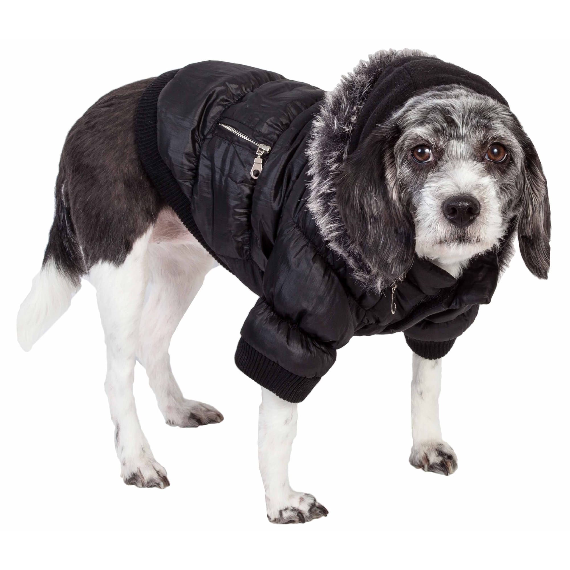 Pet Life Metallic Black Dog Parka， X-Small