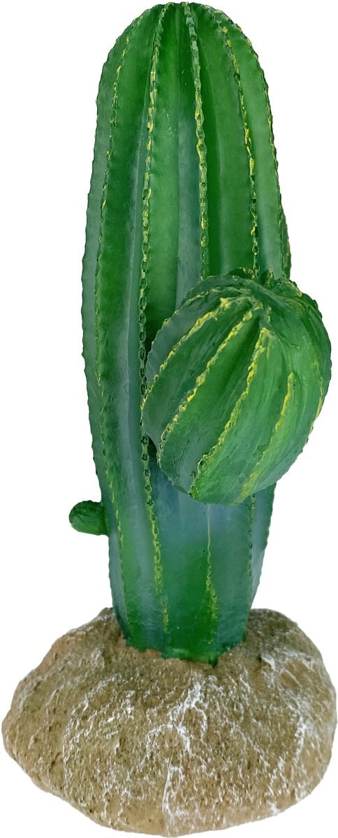 Komodo Cactus Saguaro Reptile Ornament， Green