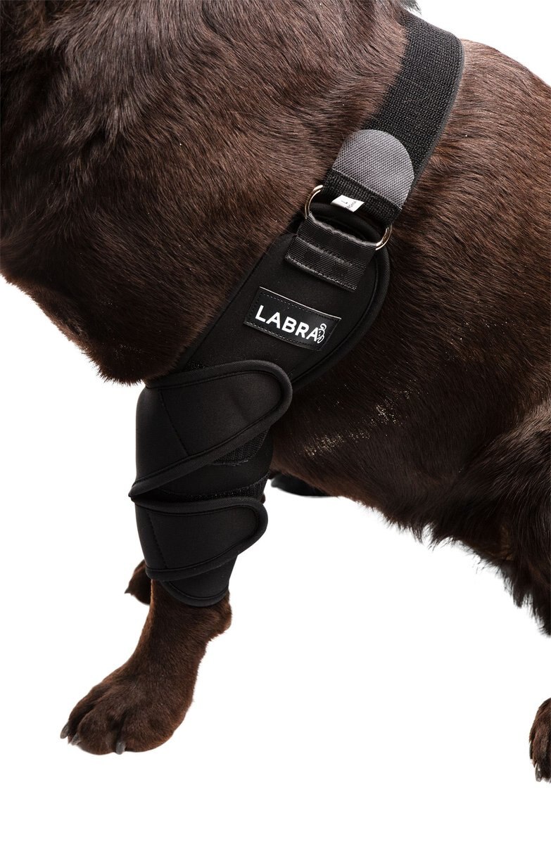 Labra Canine Dual Shoulder Elbow Dog Brace Wrap