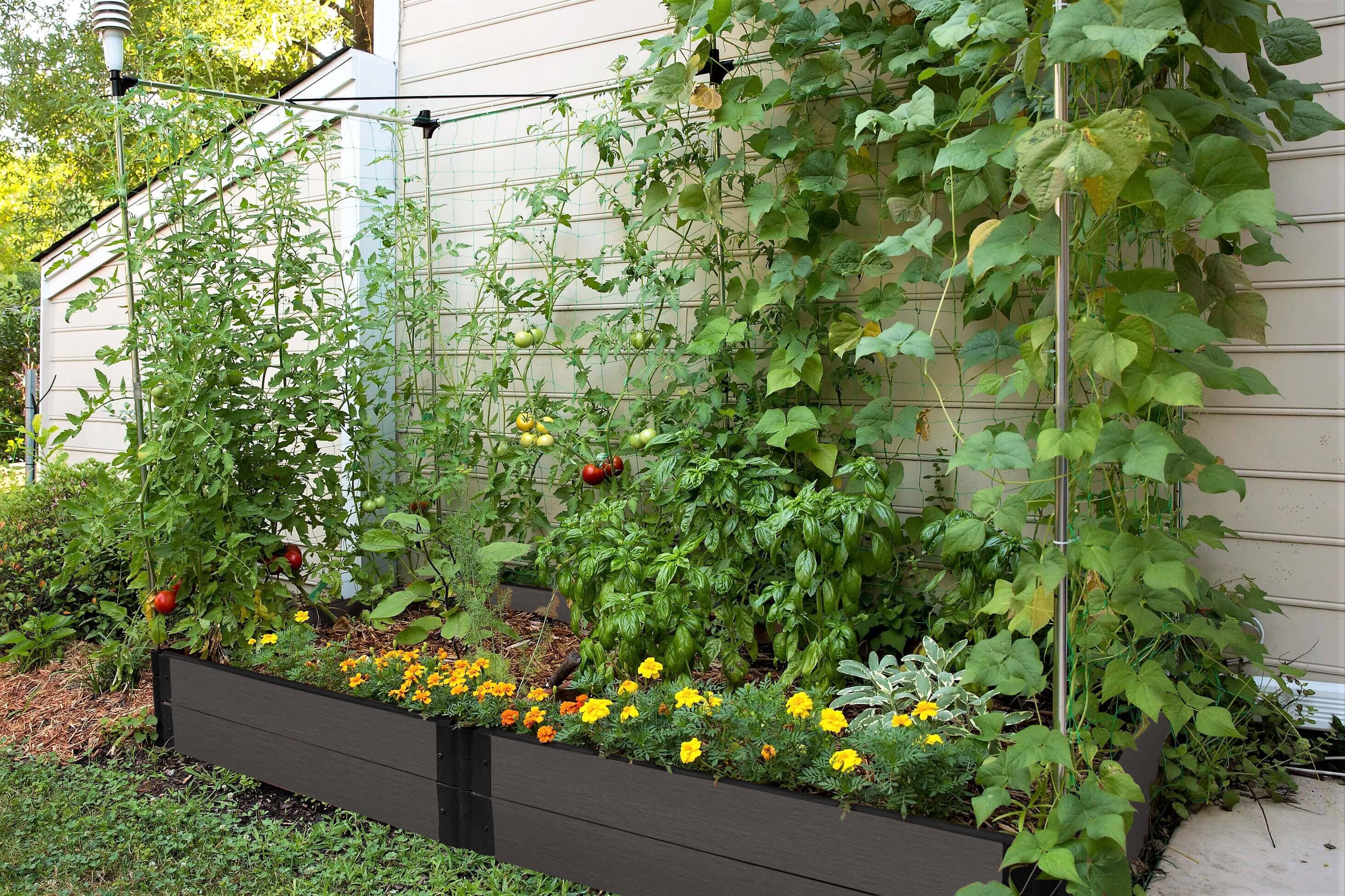 4' x 8' Raised Garden Bed with Trellis