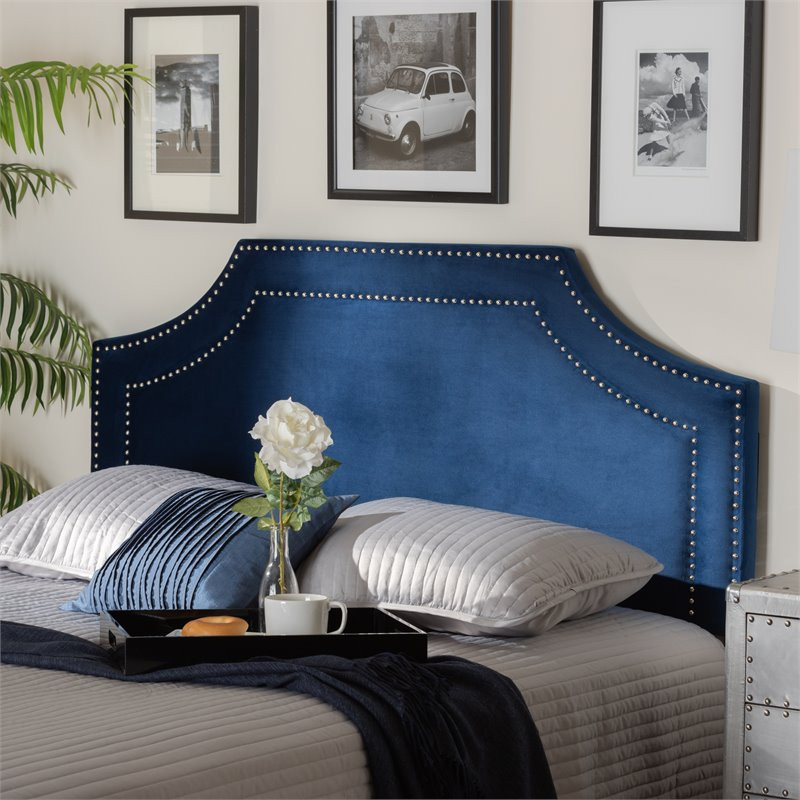 Baxton Studio Avignon Velvet and Wood Queen Headboard in Navy Blue   Transitional   Headboards   by Fratantoni Lifestyles  Houzz