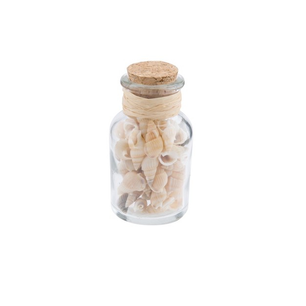 Beachcombers Bottle With Natural Shells