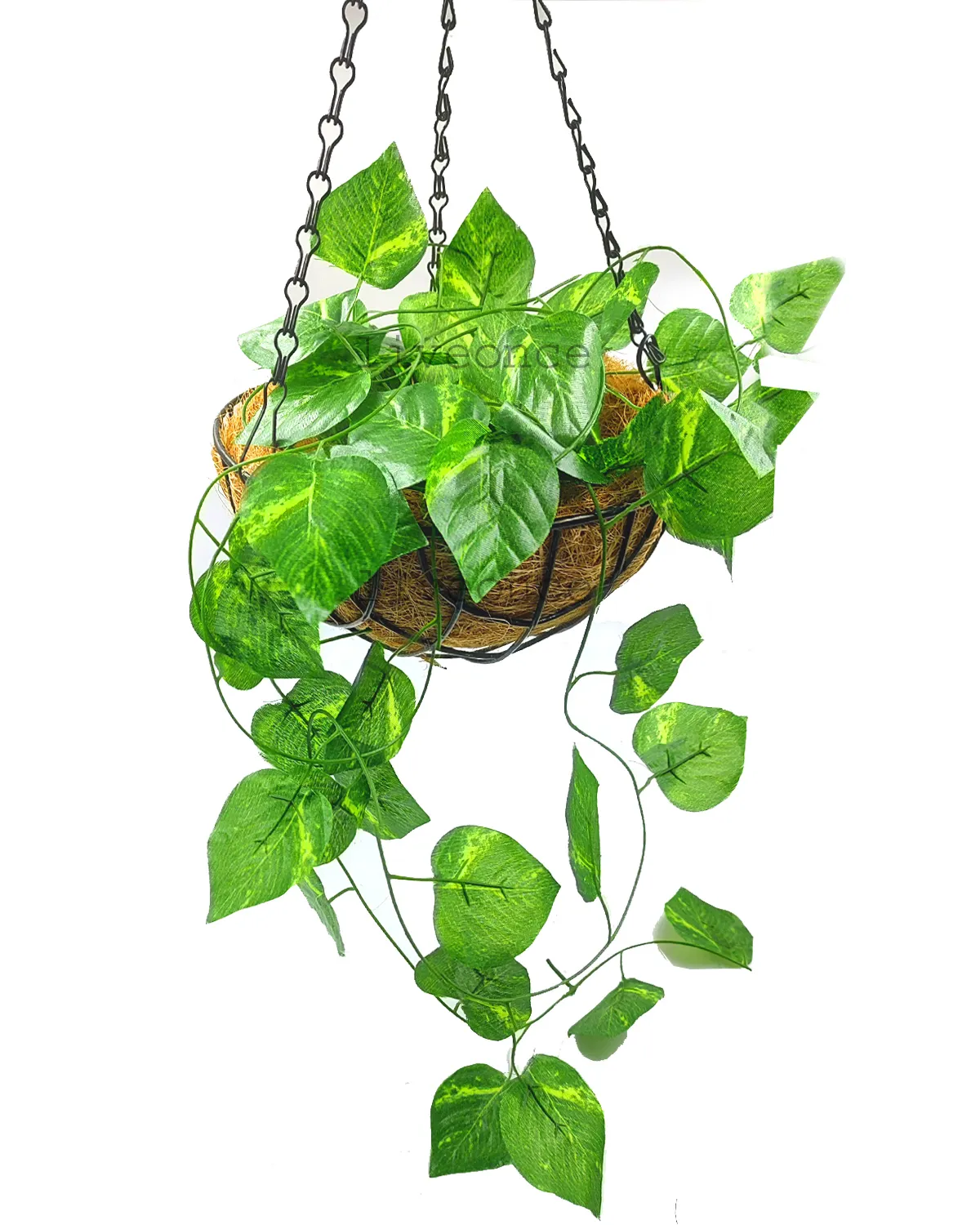 Bulk Selling Garden Supplies Artificial Money Plant with Coir Basket Decorative Accessories from Indian Exporter