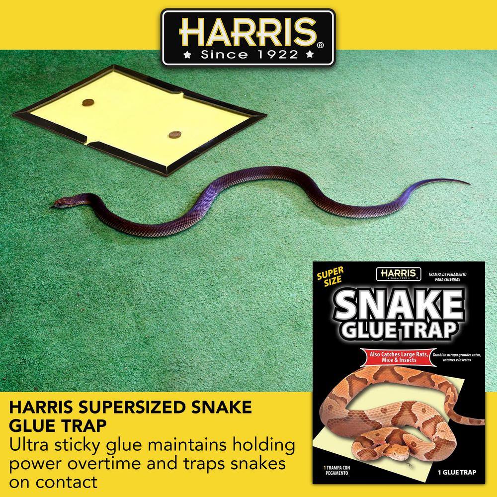 Harris Snake Glue Trap Super Size (3-Pack) 3SNAKE-1