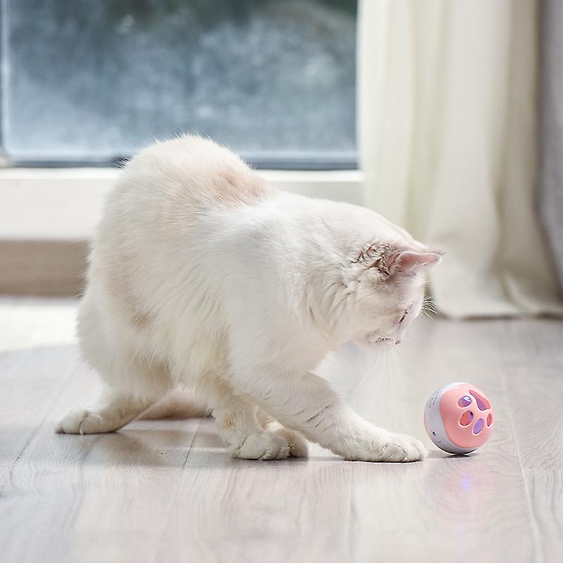 Hollow Ball Inside Bell Cat Toy