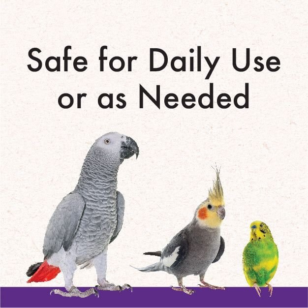 Quiko Multivitamin Daily Balance Supplement for Birds