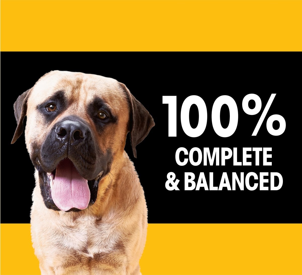 Pedigree Big Dogs Adult Complete Nutrition Large Breed Roasted Chicken Flavor Dry Dog Food