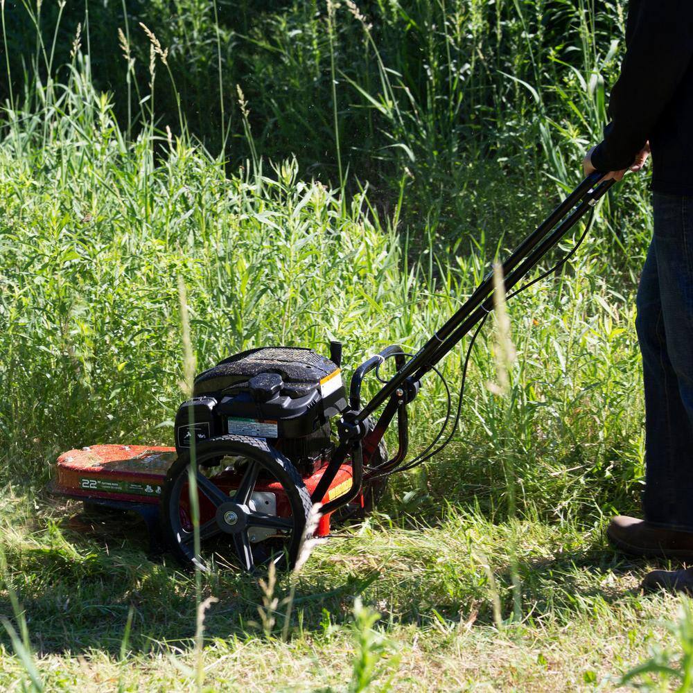 Toro 22 in. 163cc Walk Behind String Mower Cutting Swath with 4-Cycle Briggs and Stratton Engine 58620