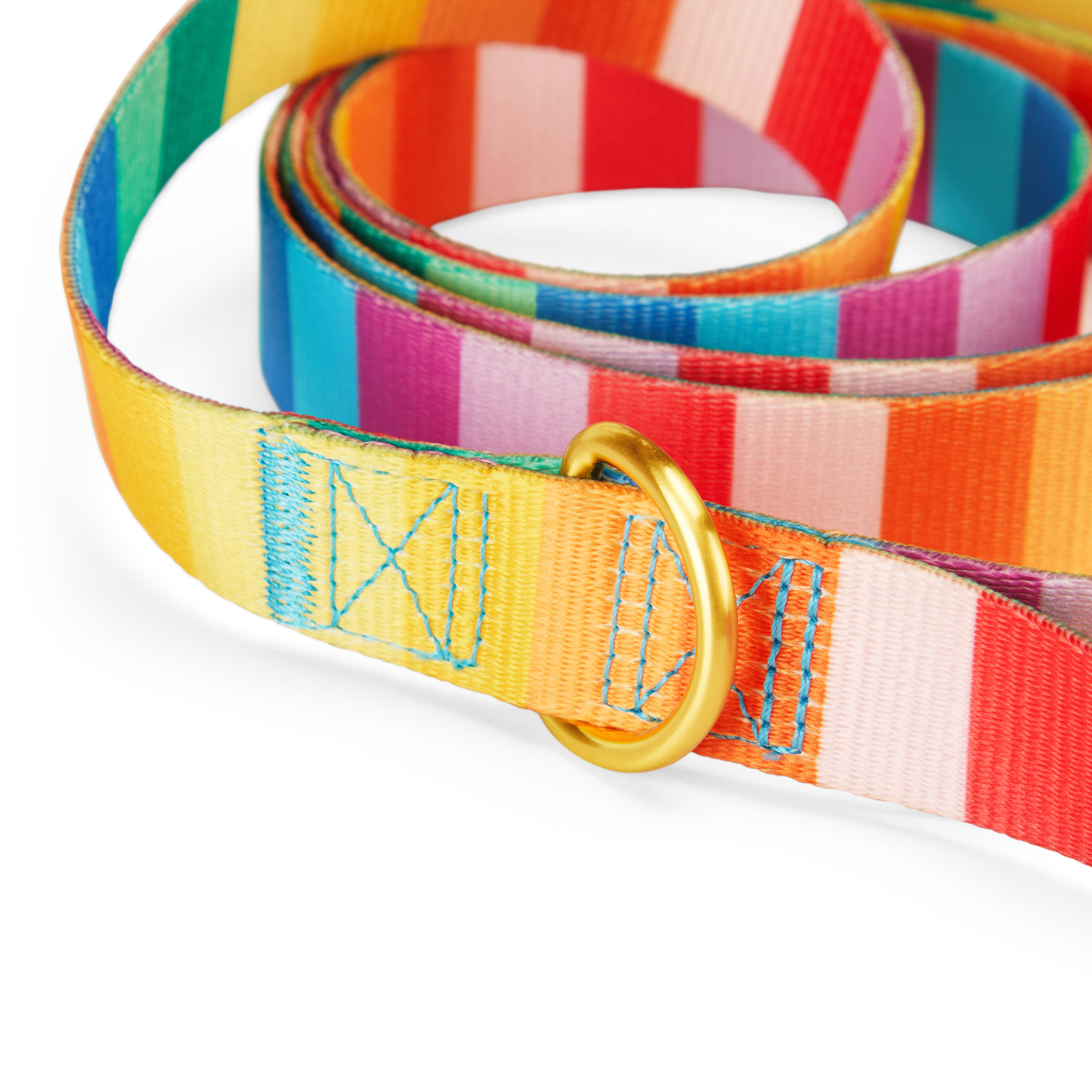 YOULY Rainbow Stripe Dog Lead