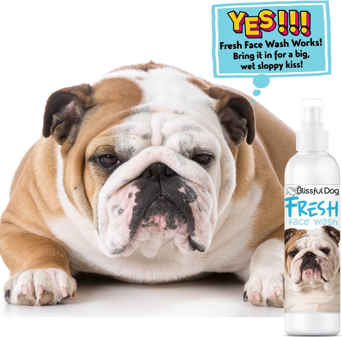 The Blissful Dog Fresh Flat Dog Face Wash， 8-oz bottle