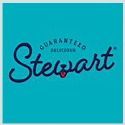 Stewart Chicken Breast Freeze-Dried Dog Treats