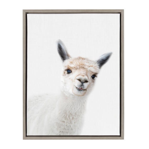 X 24 quot Sylvie Alpaca Canvas Wall Art By Amy Peterson Gray Kate And Laurel