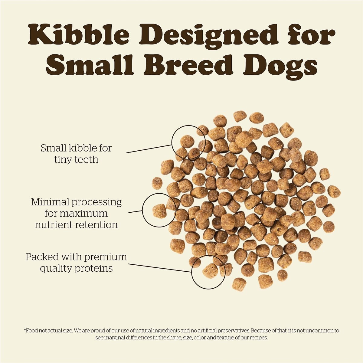 Now Fresh Grain-Free Small Breed Puppy Recipe Dry Dog Food