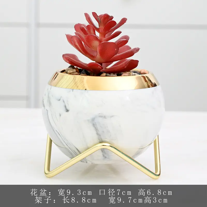 Cheap fashion nordic round ceramic succulent pot with golden edges iron rack  water transfer printing flowerpot