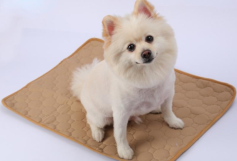 Pet Changing Pads Thickened Absorbent And Deodorizing Dog Fart Pads Soft Washable Pet Changing Pads Diapers