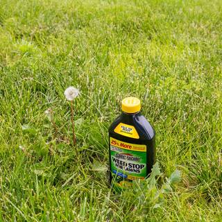 Spectracide 40 oz. Weed Stop for Lawns Concentrate Lawn Weed Killer HG-96623