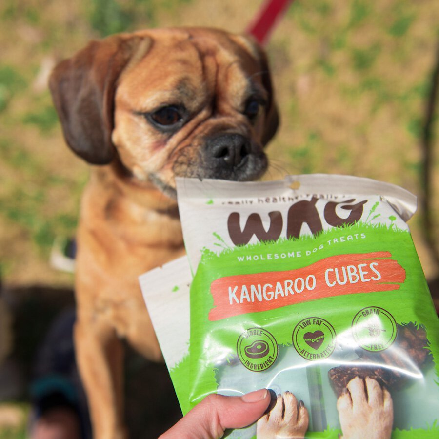 WAG Kangaroo Cubes Grain-Free Dog Treats