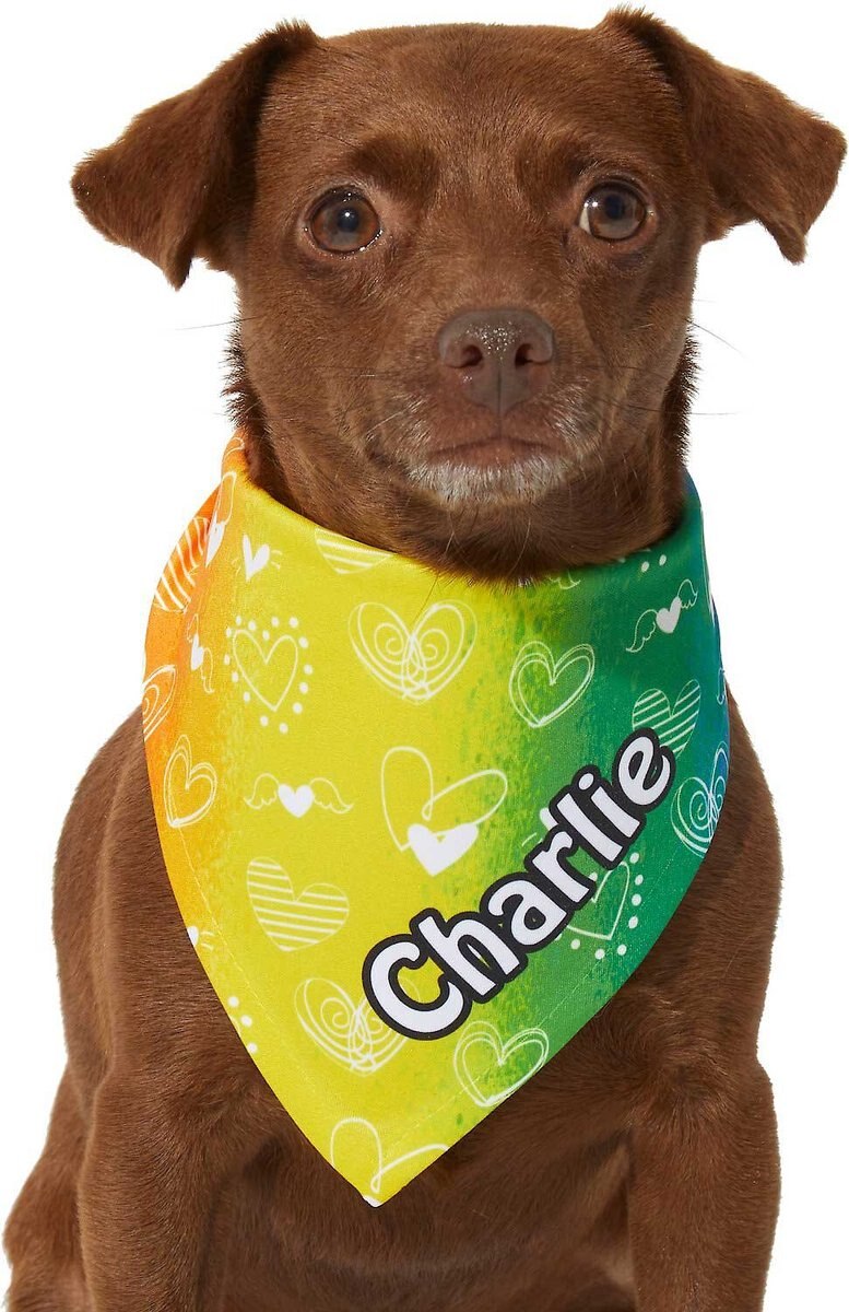 Frisco Rainbow Hearts Personalized Dog and Cat Bandana