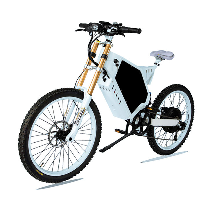 Fast 2023 Most Fashion Mountain Bike /e bike 1000w 48v electric bicycle/ Motor cycle With High Quality Lithium Battery