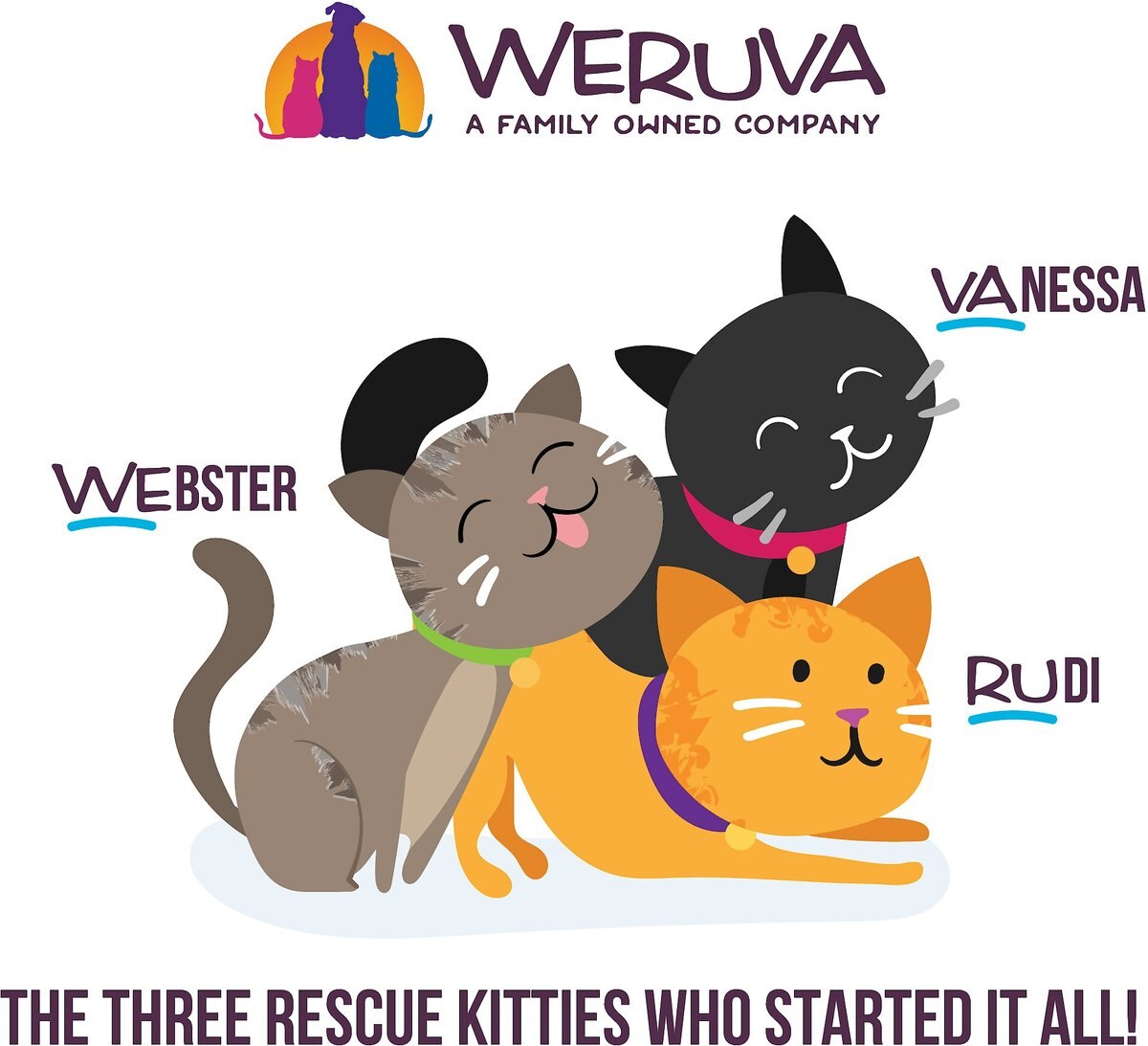 Weruva Kitten Fur Baby Favorites Chicken Flavored Shredded Wet Cat Food Variety Pack， 3-oz can， case of 12