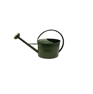 Metal Green floral flower Water Can Premium Quality Wholesale Luxury Can Best Selling Inexpensive Galvanized Water Cane