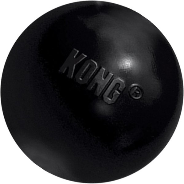 KONG Extreme Ball Dog Toy