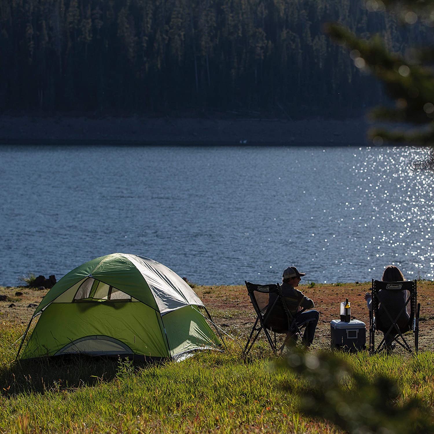 Coleman Sundome 6-Person Dome Camping Tent， Palm Green