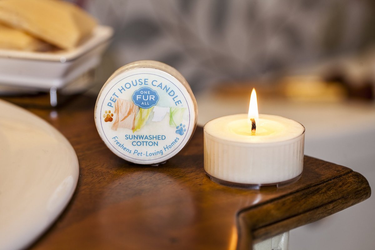 Pet House Sunwashed Cotton Natural Soy Candle