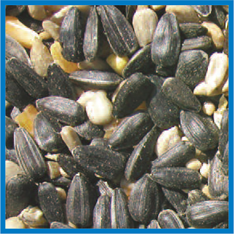 BLUE RIBBON BIRD SEED 5#