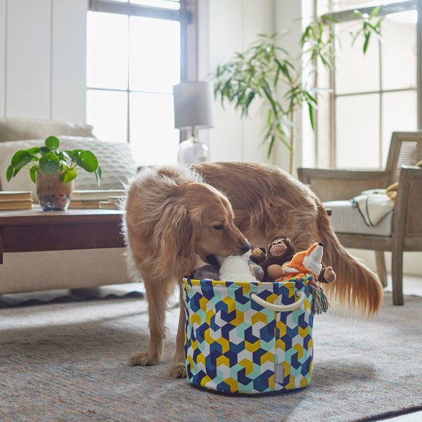 Frisco Round Collapsible Pet Toy Storage Bin， Yellow Geometric