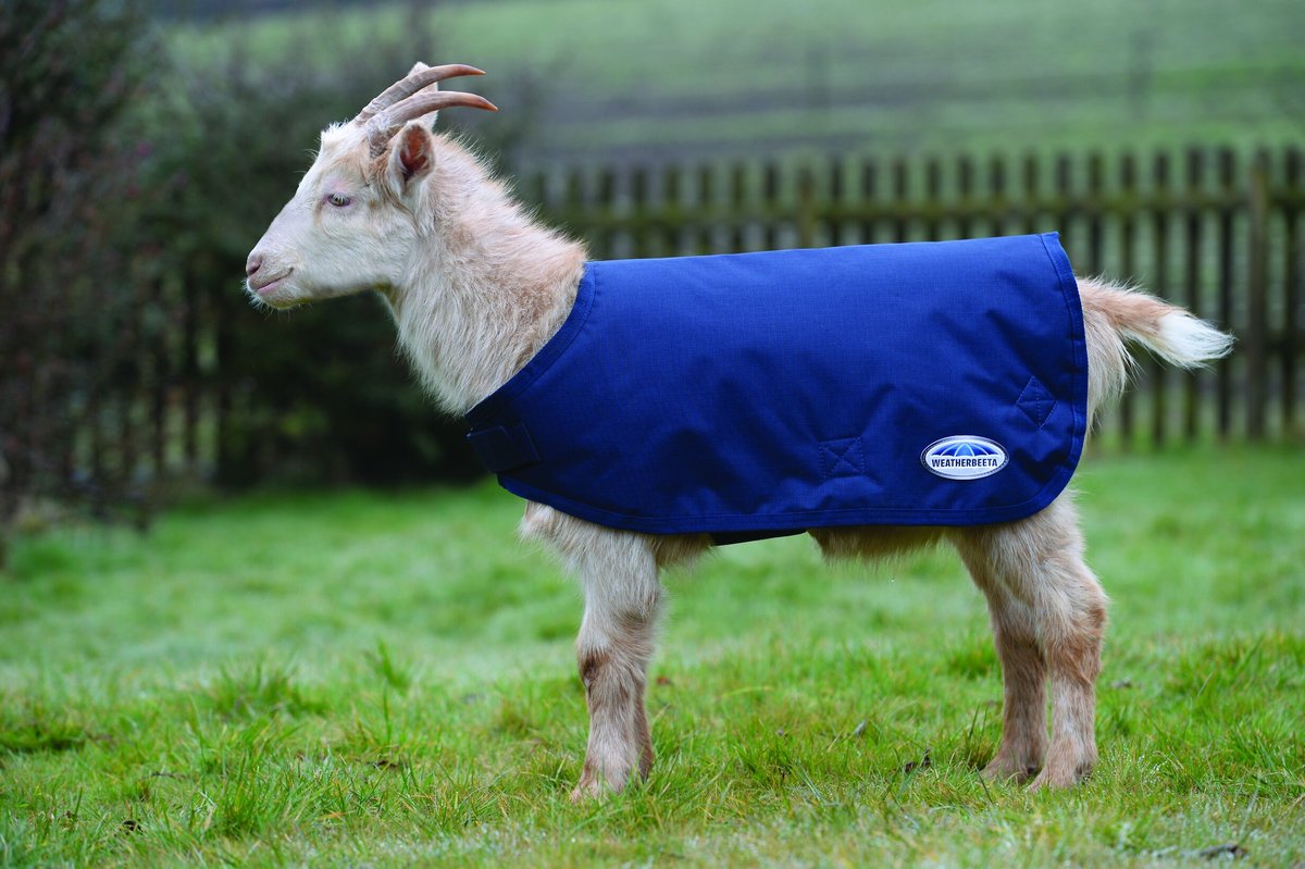 WeatherBeeta Goat Coat