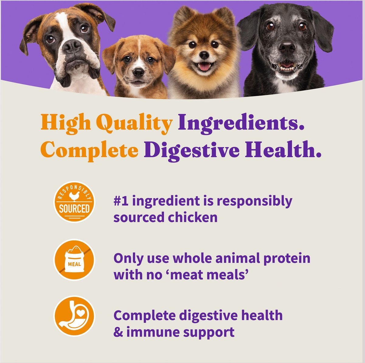 Halo Holistic Complete Digestive Health Chicken and Brown Rice Recipe Puppy Dry Dog Food