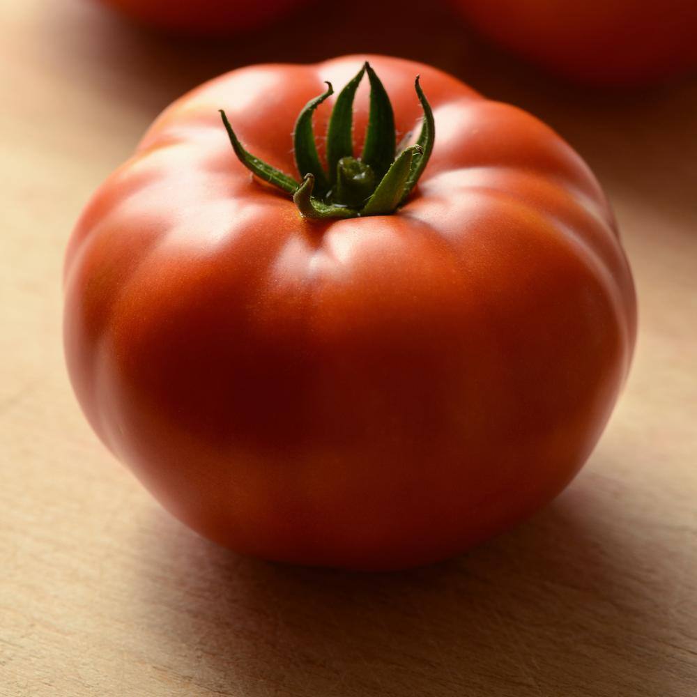 BONNIE PLANTS HARVEST SELECT 25 oz. Genuwine Beefsteak Tomato Plant 715339321701