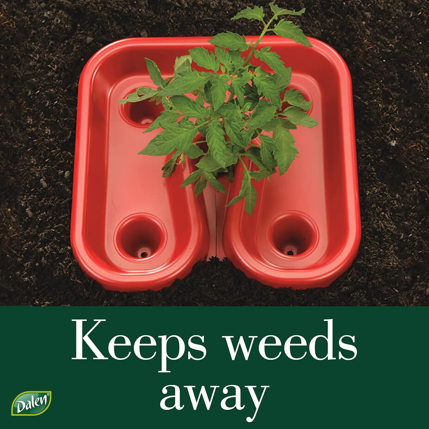 Dalen Tomato Tray Super Boost – Plastic - 12"x12"x3.5"– 3 Pack