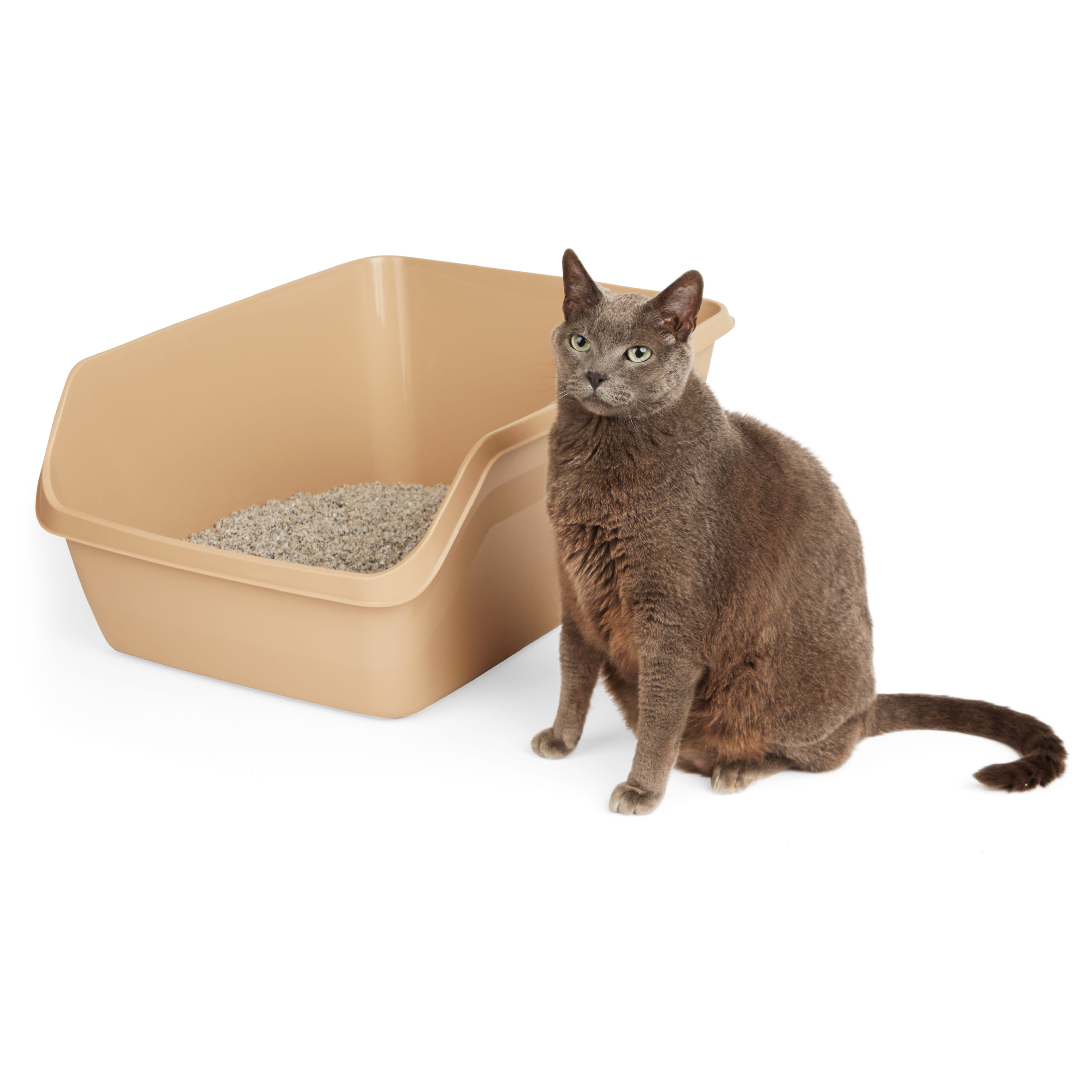 So Phresh Tan Scatter Shield High-Back Litter Box for Cat， X-Large