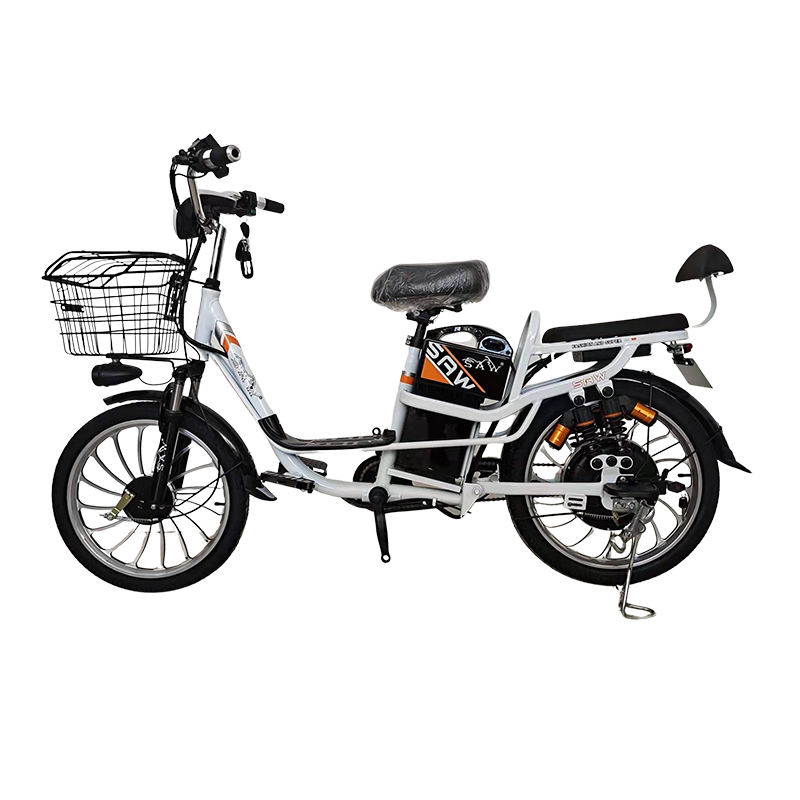 electric delivery bike delivery e bike/e bike share system/2022 new model electric cycle for delivery fast electric cycle