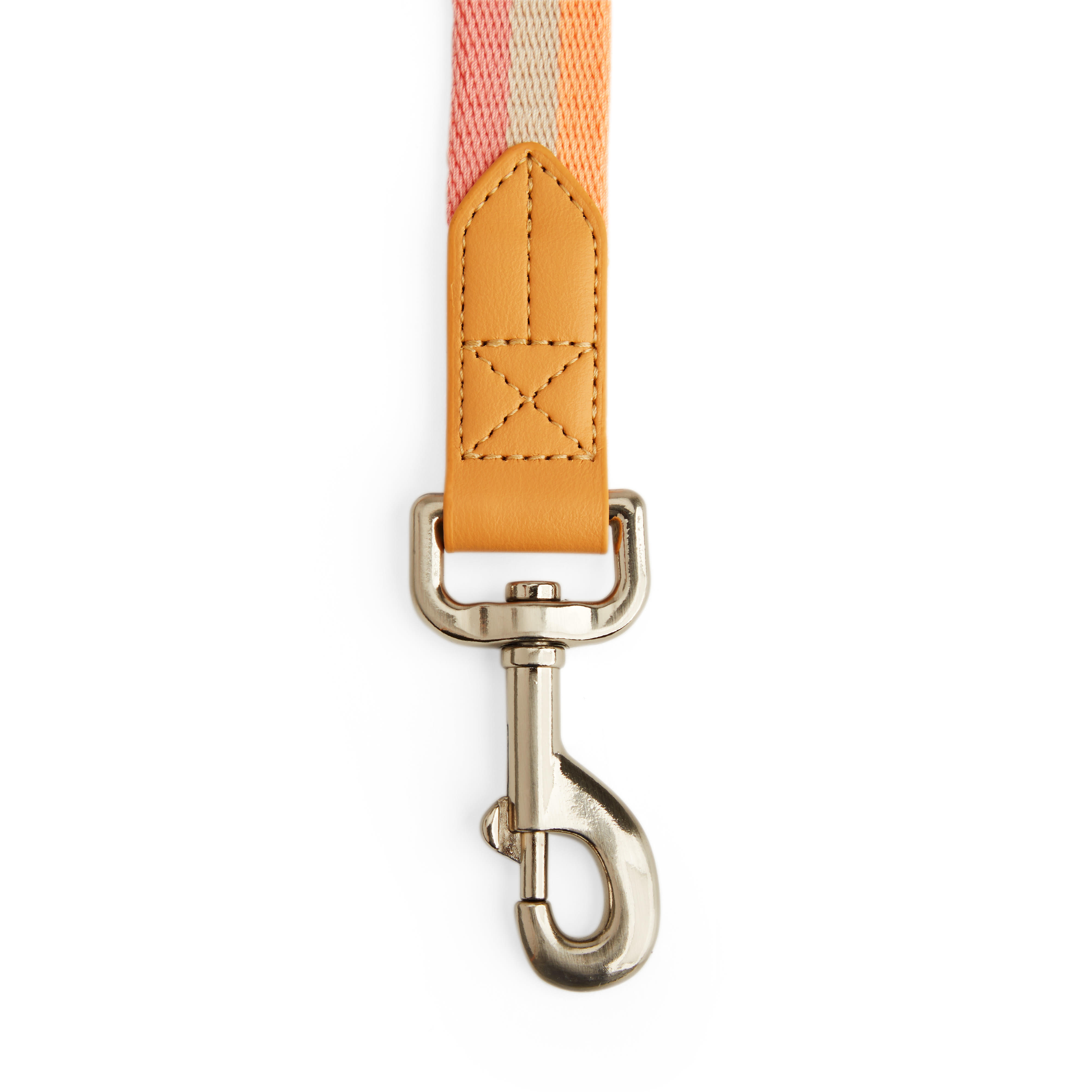 YOULY Creamsicle Dog Leash， 6 ft.