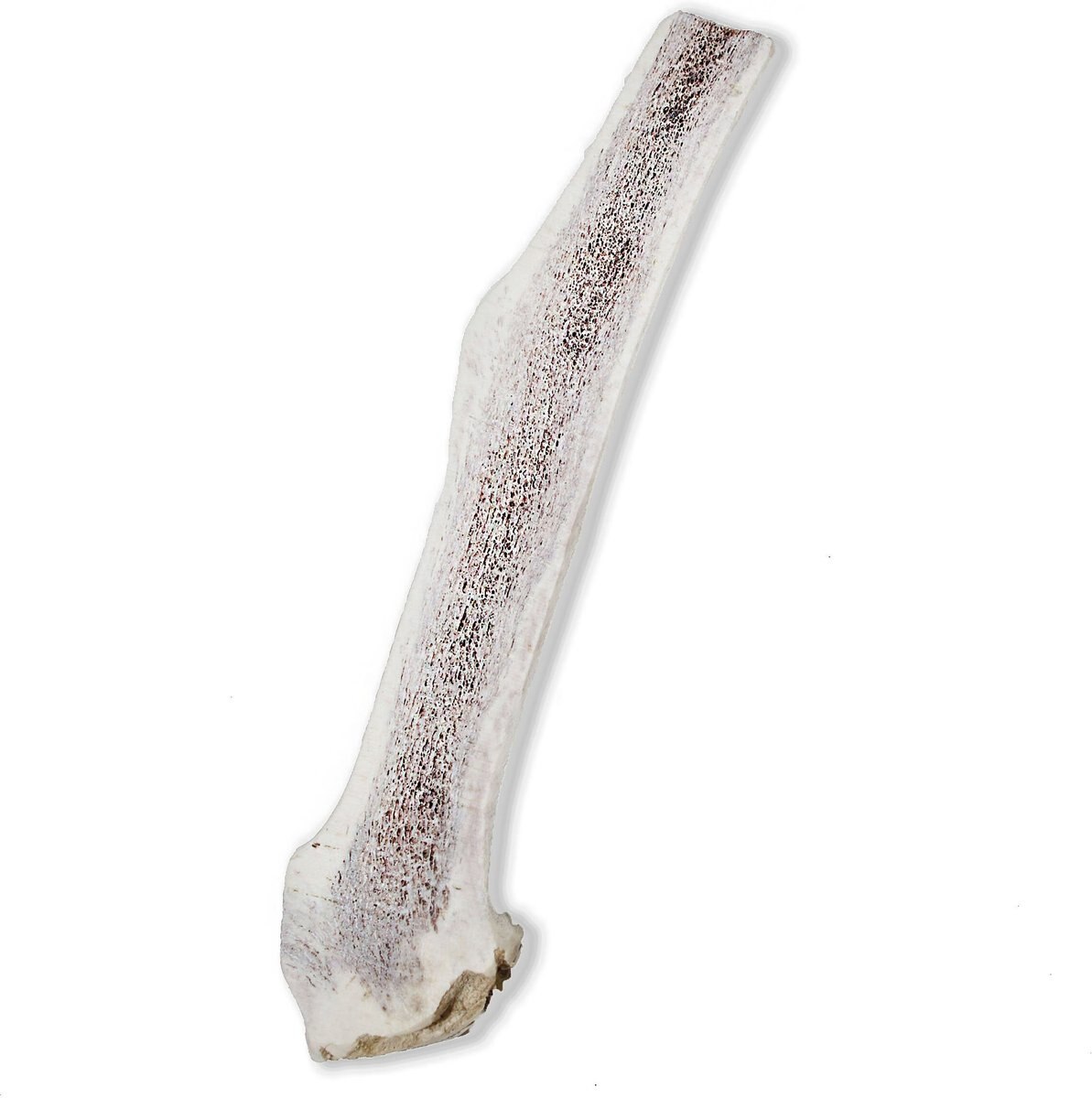 Prairie Dog Split Elk Antler Dog Chews