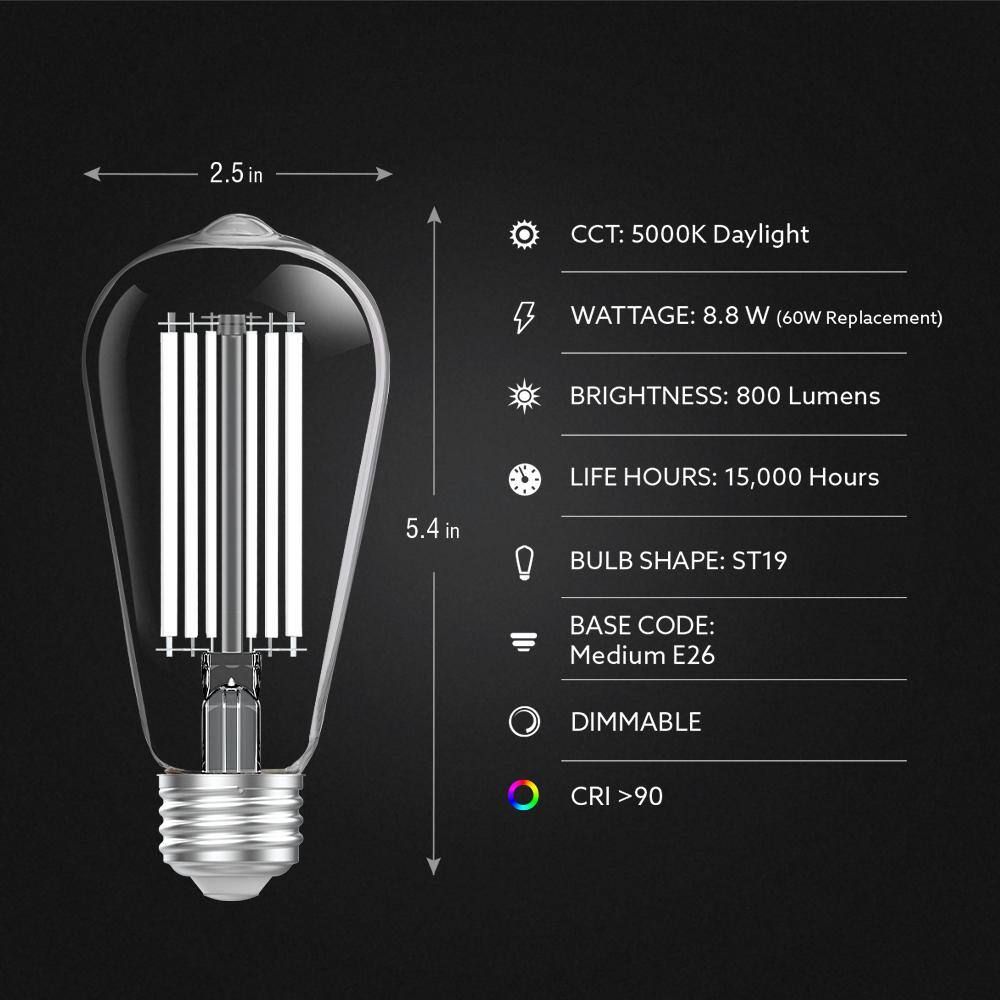 Feit Electric 60-Watt Equivalent ST19 Dimmable White Filament Clear Glass Vintage Edison LED Light Bulb Daylight 5000K ST1960950CAWFILHDRP