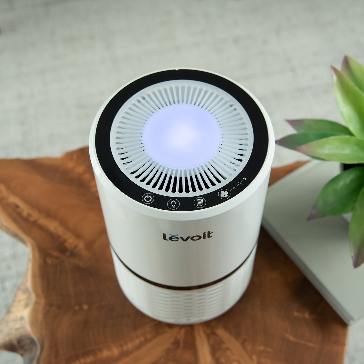 Levoit Compact True HEPA Air Purifier with Replacement Filter