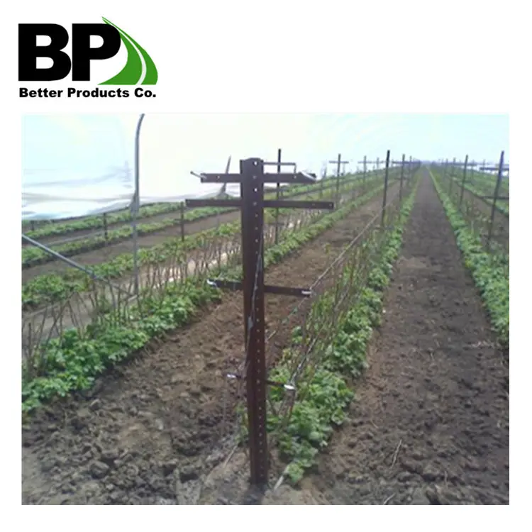 Manufacturer Supply High Quality U Channel Post Agricultural Farm Used Vineyard Metal Trellis Post High Quality Vineyard Stakes