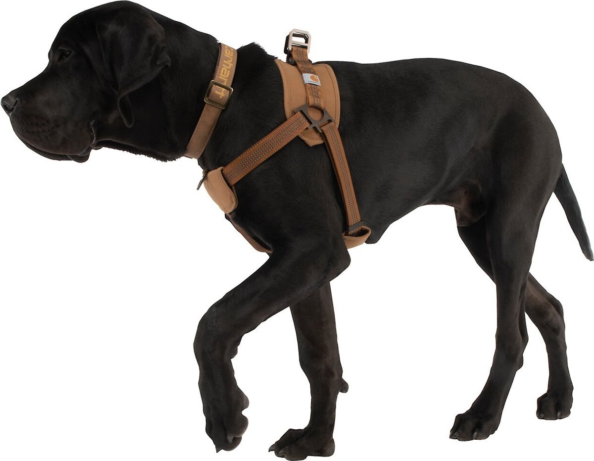 Carhartt Training Dog Harness